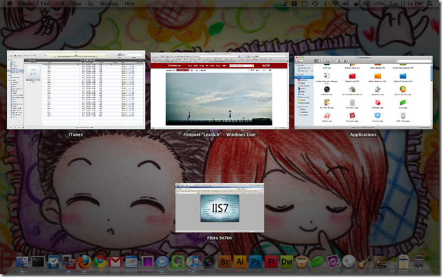 个人意见 Snow Leopard 10A432 并不是 Mac OS X 10.6 的正式版