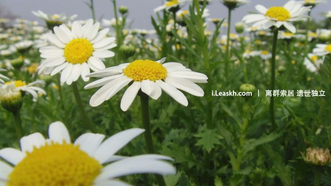 [Blog更新]Blog Title Picture更新
