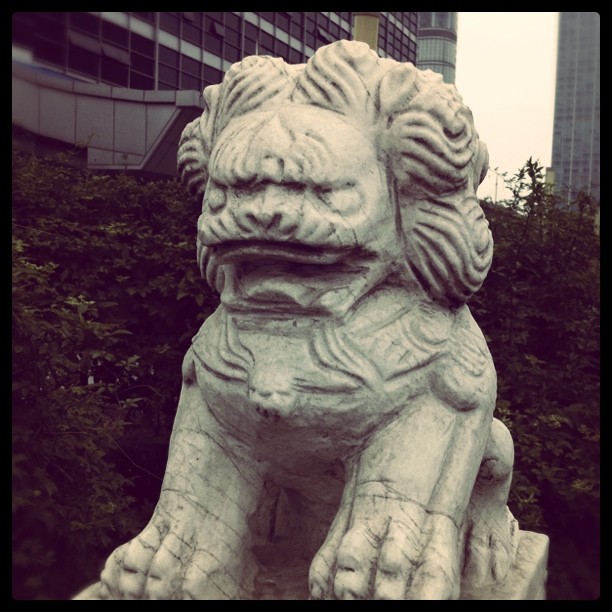 #lion (Taken with instagram )