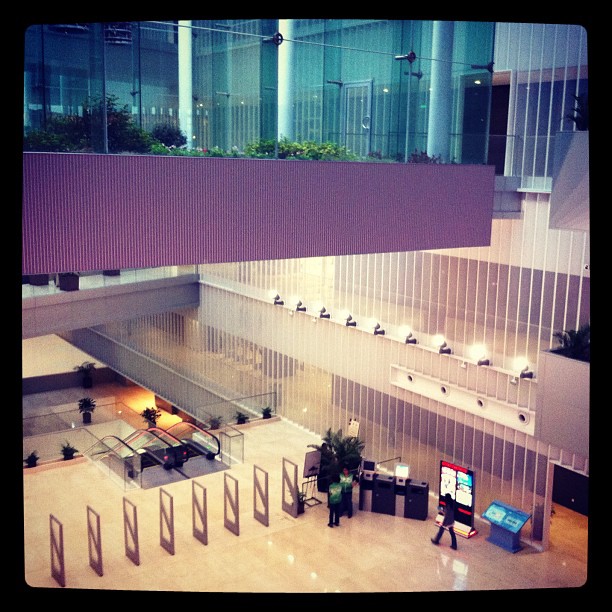 上海浦东图书馆 1（昨天） (Taken with instagram )