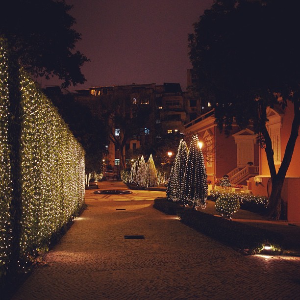 The back garden of Macau Government House (Taken with instagram )