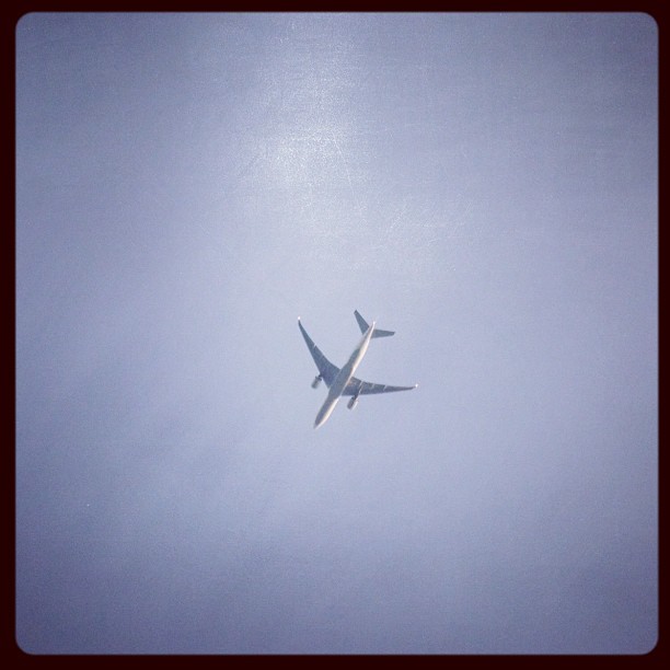 Fly (Taken with instagram )