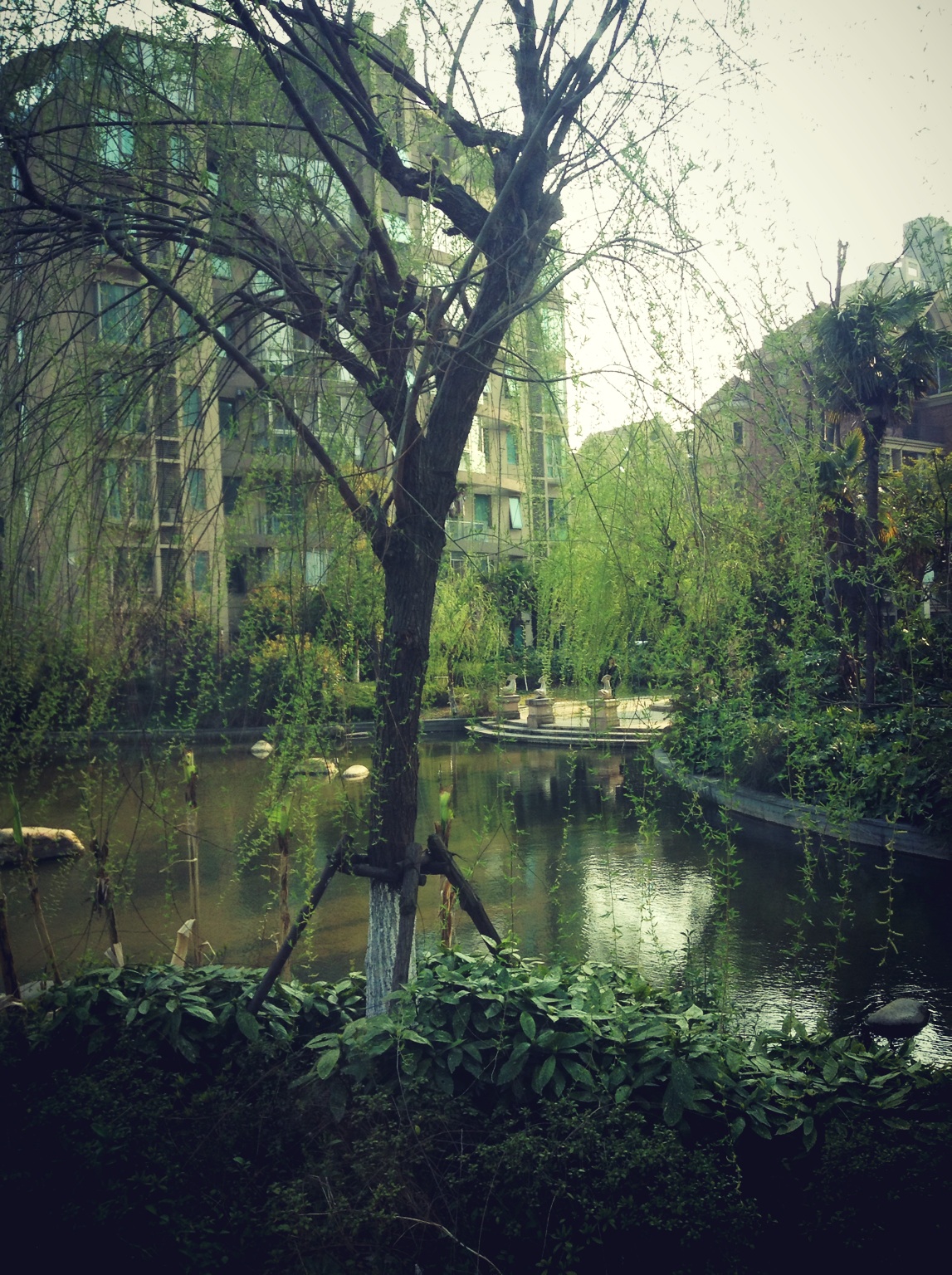Spring is coming… at 子时正刻 – View on Path .