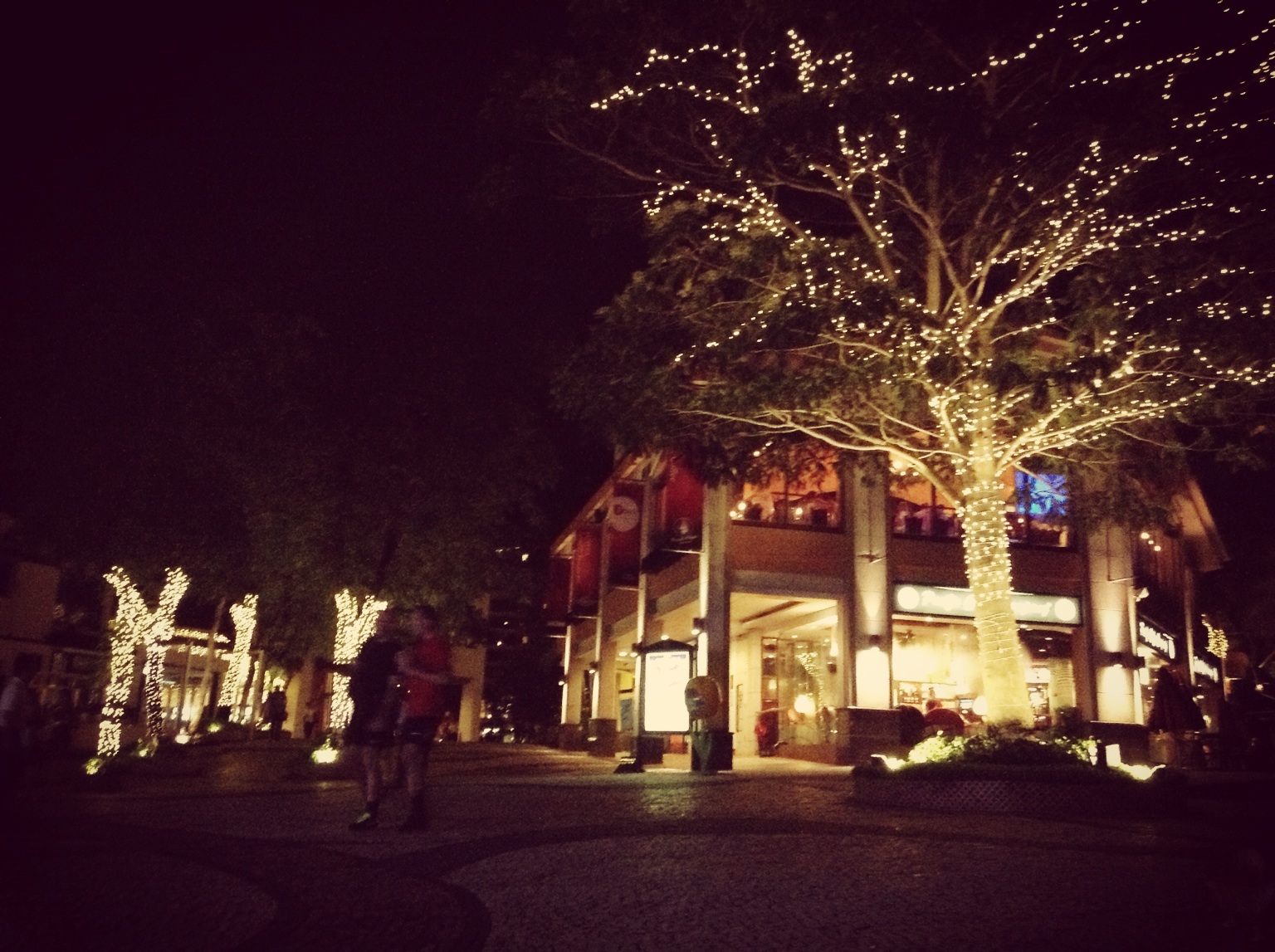 在码头等迪斯尼的美丽烟火。 with Syxnx at Discovery Bay Ferry Pier 愉景灣渡輪碼頭 – View on Path .
