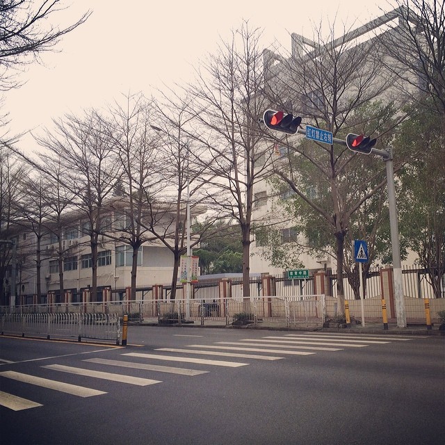 事隔多年，我又住进了学校里。
