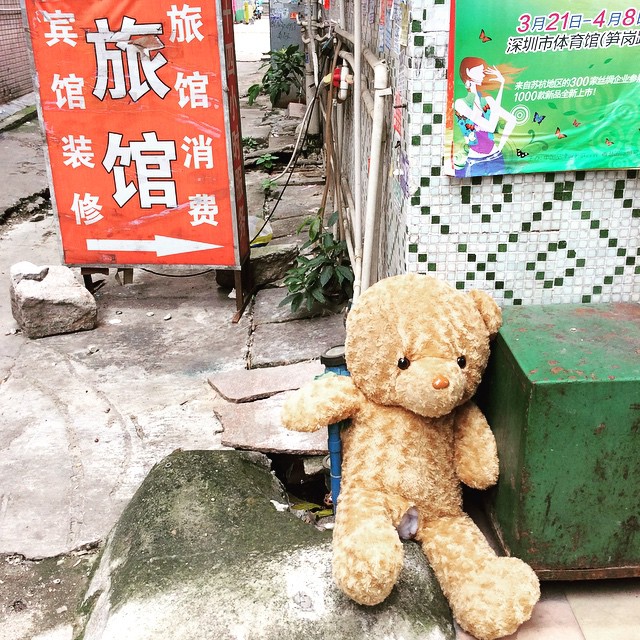 #PoorBear (at 深圳布吉)