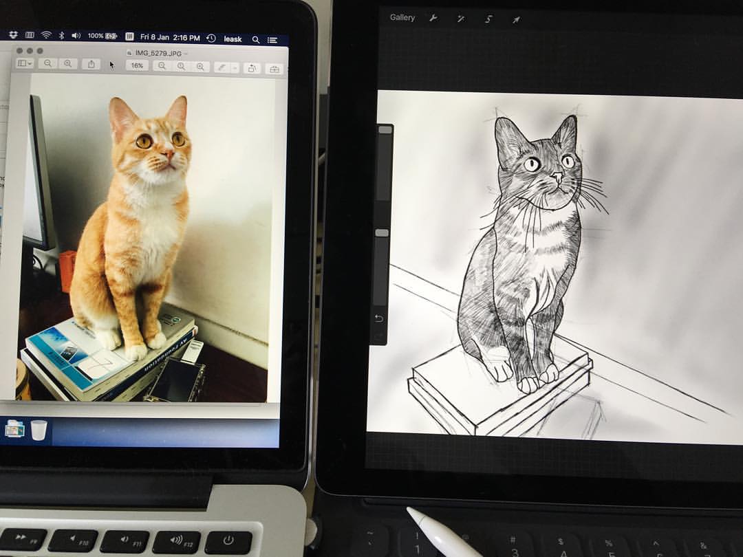 Apple Pencil Testing 4th 🐱 (at 深圳龙岗)