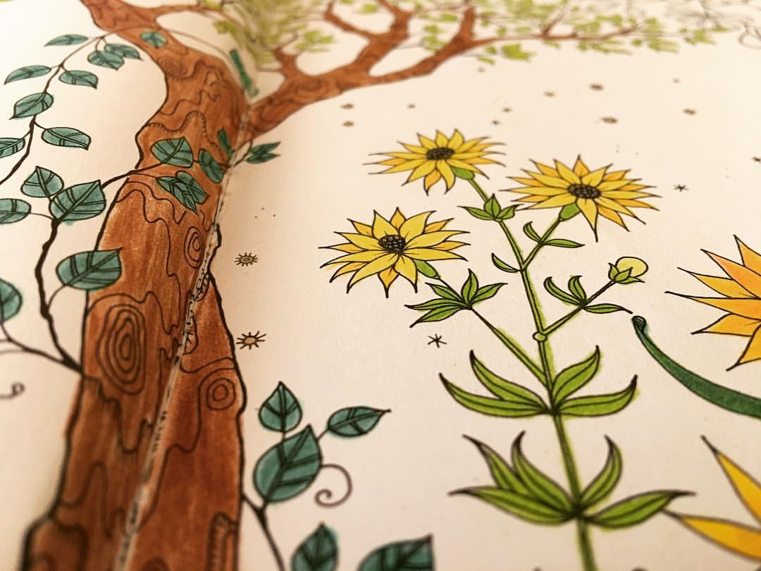 Instagram Photo