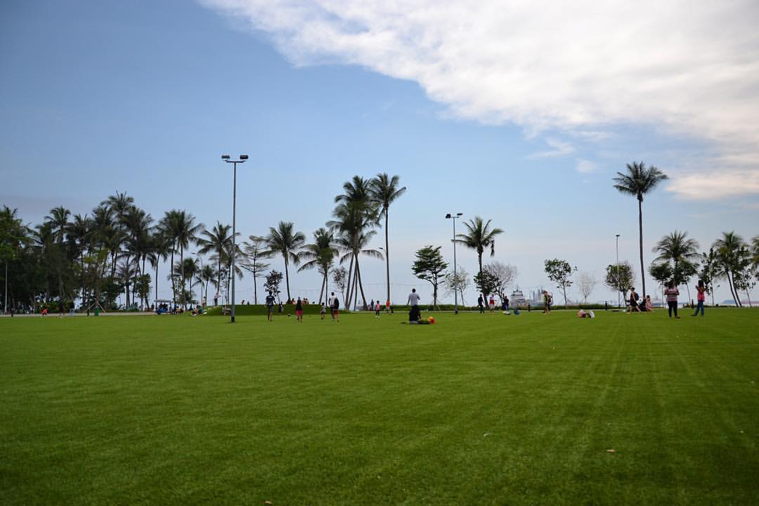 Lawn (at Singapore)