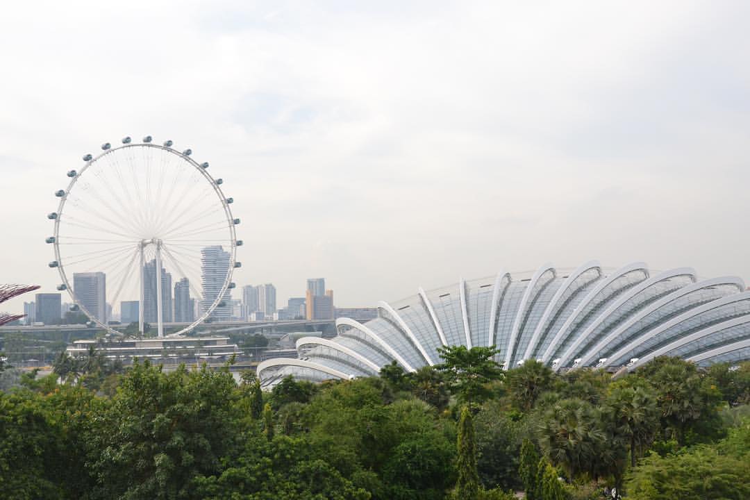 Cloud Forest, Flower Dome, Flyer (at Singapore)