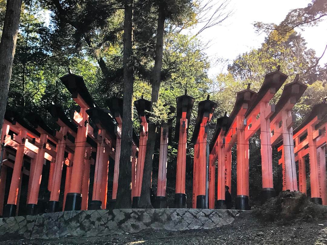 at Fushimi-Inari Temple, Kyoto, Japan