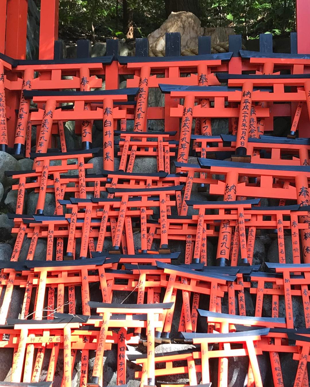 这些不知道叫不叫“门”？ (at Fushimi-Inari Temple, Kyoto, Japan)