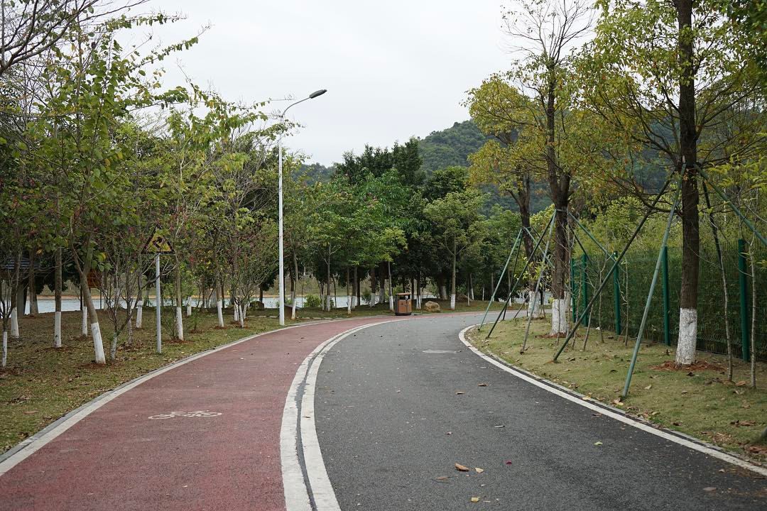 南门山深林公园